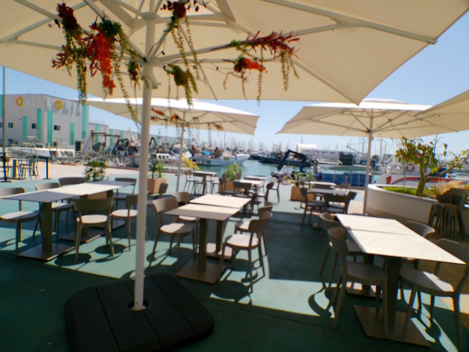 Kvällsdukning på terrassen mot marinan i Torrevieja